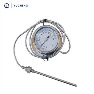 4 Inch Size Capillary Thermometer